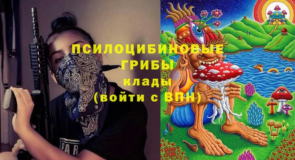 бошки Белокуриха